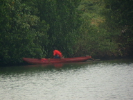 Kogalla (282)
