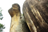 Si (55)